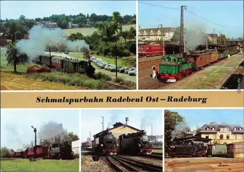 Friedewald-Moritzburg, Güterzug, Radebeuler Lokschuppen, Traditionslok 99713