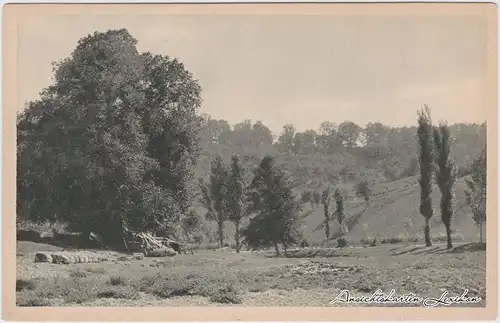 Ansichtskarte  Bayerische Landschaften: Im Taubertal 1940