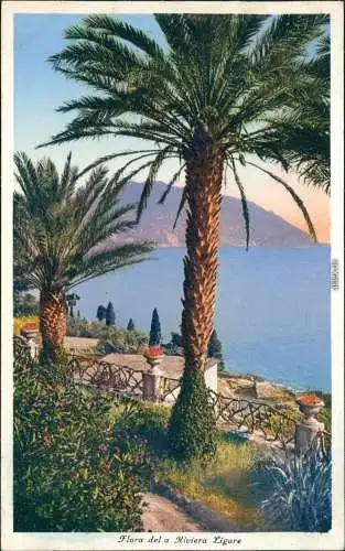 Cartoline .Ligurien Liguria Italien - Flora del a Riviera Ligure 1920