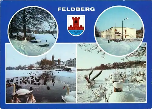 Carwitz-Feldberger Seenlandschaft Feldberg Kr. Neustrelitz Winter-Fotos 1989