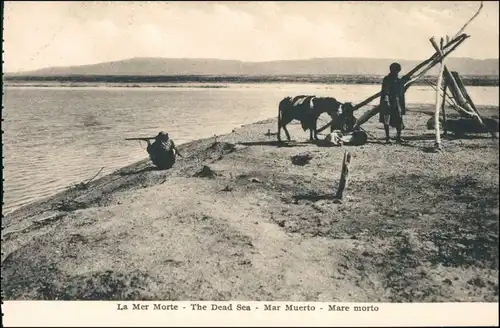 Westjordanland البحر الميّت بحر لوط/Das Tote Meer 1916