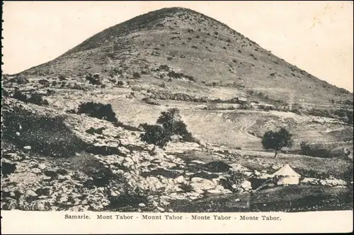 Postcard Nablus שכם نابلس Samarie, Mont Tabor 1915