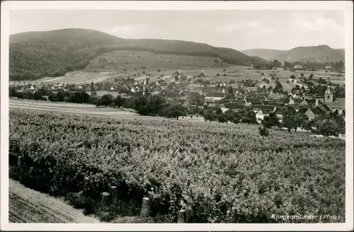 Klingenmünster Pfalz Dorf Ort a.d. deutschen Weinstrasse, Gesamtansicht 1932