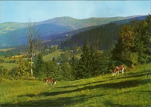Benetzko Benecko KRKONOŠE Podzim na Benecku s panoramatem Kotle 1985