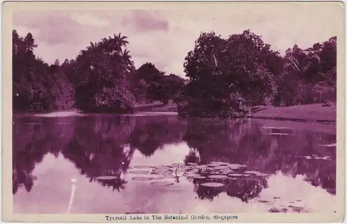 Postcard Singapur See im Botanischen Garten 1920