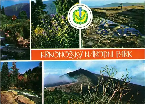 Krummhübel Karpacz Sněžka z Obřího dolu, Hořec tolitovitý, Pramen Labe 1985