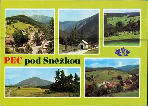 Petzer Pec pod Sněžkou Obří důl, Hnědý vrch, Sněžka, celkový pohled 1971