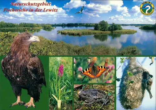 Neustadt-Glewe NABU Lewitzprojekt, Fischteiche  Beutelmeise 2000