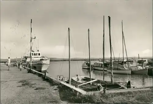 Ansichtskarte Zingst Hafen, Yacht, Boote, Yachthafen, Harbour 1971