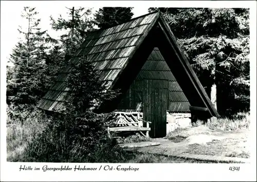 Zinnwald-Georgenfeld-Altenberg (Erzgebirge) Georgenfelder Hochmoor  1979