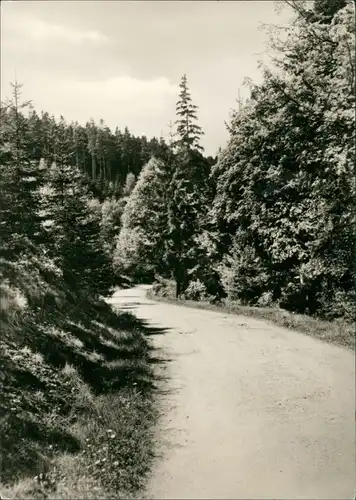 Ansichtskarte Zöblitz Im Schwarzwassertal 1965