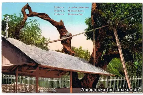 Postcard Hebron Chewron الخليل‎ / חברון Abrahams-Eiche 1914