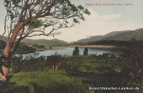 Postcard Nuwara Eliya Blick über den See 1914 