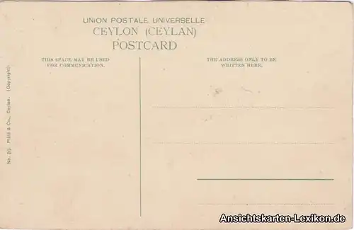 Postcard Nuwara Eliya Blick über den See 1914 