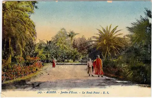 Postcard Algier دزاير Jardin d'Essai - Le Rond-Point 1930