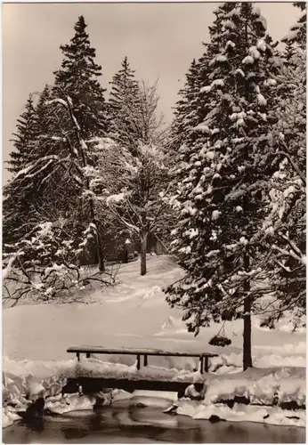 Winter im Harz, Brücke - Fluss/See Foto Ansichtskarte b Wernigerode 1968