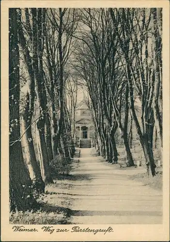 Ansichtskarte Weimar Weg zur Fürstengruft auf dem Friedhof 1954