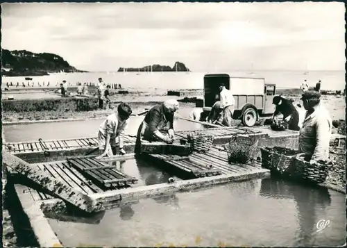 Cancale Kankaven Les Parcs à Huîtres/Umlandansicht Anbau Ernte von Muscheln 1960