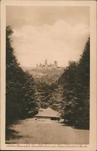 Braunfels (Lahn) Schloss Fernansicht, Blick v.d. Kaiser Friedrich Buche 1920