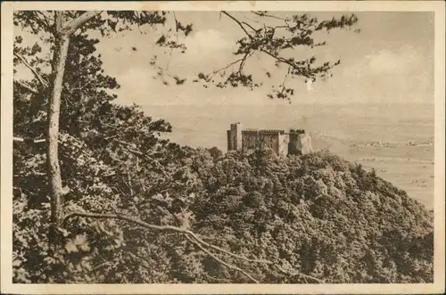 Haardt-Neustadt Weinstraße   Fernansicht Hambacher Schloss (Maxburg) 1934