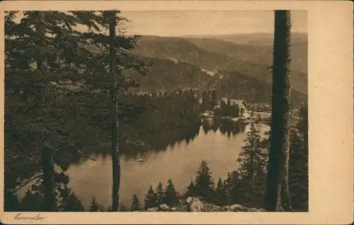Ansichtskarte Seebach Region badischer Schwarzwald, Panorama Mummelsee 1920