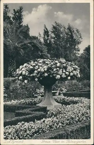 Bad Pyrmont Park, Grosse Vase im Palmengarten, Pflanzen & Botanik 1930