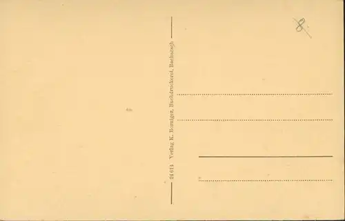 Bacharach Panorama-Ansicht, Totale mit Burg Stahleck am Rhein 1910