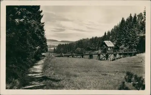 Bad Brambach Röthenbachtal, Waldweg, kleine Brücke, Häuschen 1955