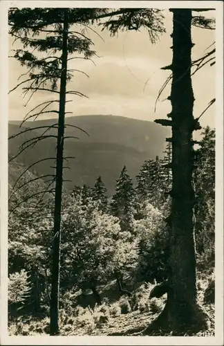 Ansichtskarte Ilsenburg (Harz) Brocken-Blick vom Meineberg aus gesehen 1938