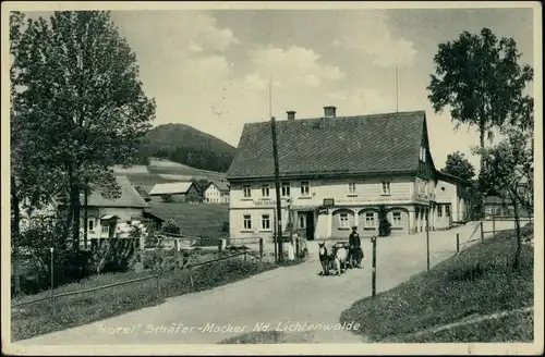 Postcard Nieder Lichtenwalde Dolní Světlá Hotel Schäfer Mocker 1934