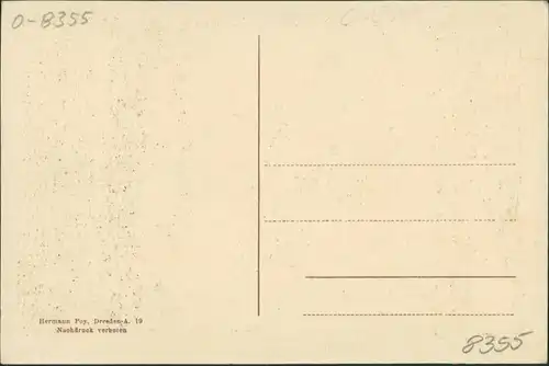 Ansichtskarte Neustadt (Sachsen) Elbgau - Sängerfest 1921