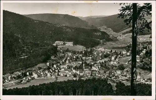 Bad Herrenalb Panorama-Ansicht, Schwarzwald, Blick über den Ort 1932