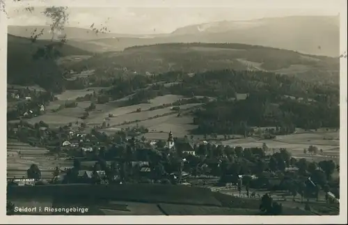 Postcard Seidorf Sosnówka Blick auf die Stadt 1929