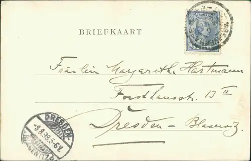 Postkaart Zaanstad Zaandam - Windmühle Künstlerkarte 1899