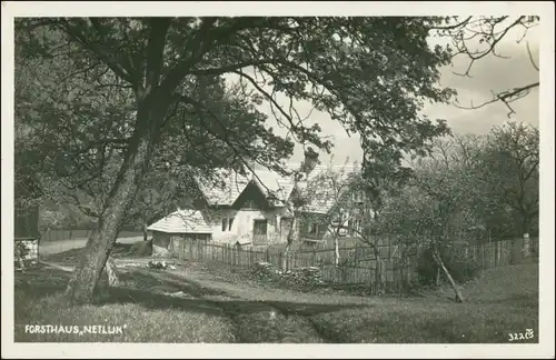 Postcard Trebnitz Třebenice Waldwirtschaft Netluk - Garten 1934