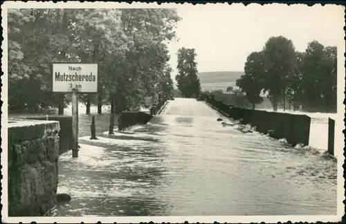 Ansichtskarte Wechselburg Brücke in der Stadt - Hochwasser 1953