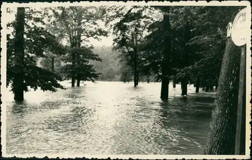 Ansichtskarte Wechselburg Weg zum Rochlitzer Berg - Hochwasser 1953