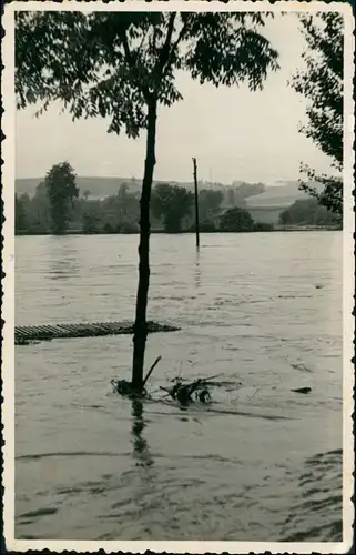 Ansichtskarte Wechselburg Hochwasser - Umland 1953