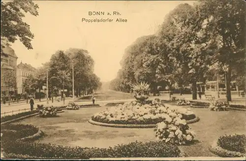 Ansichtskarte Bonn Poppelsdorfer Allee, Grünanlagen 1910