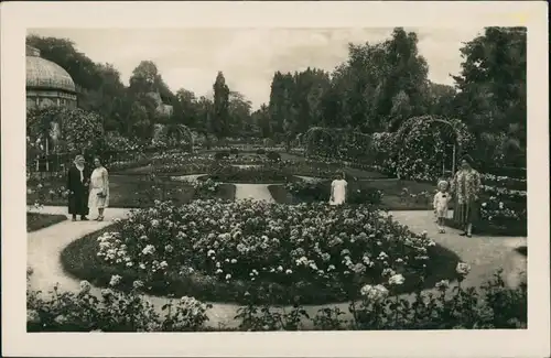 Karlsruhe Stadtgarten, ältere Damen und Kindern, Rosen-Anlagen 1930
