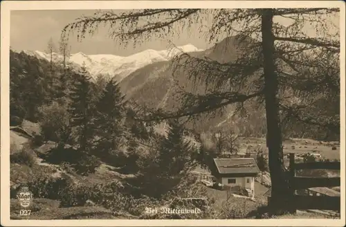 Mittenwald Panorama-Ansicht mit Haus am Hang (Nägeli Heimatbilder) 1930