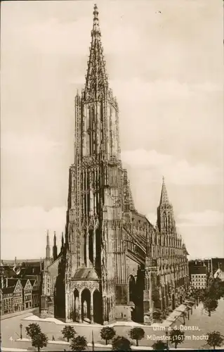 Ulm a. d. Donau Ulmer Münster, Trinks Bildkarte mit Beschreibung 1920