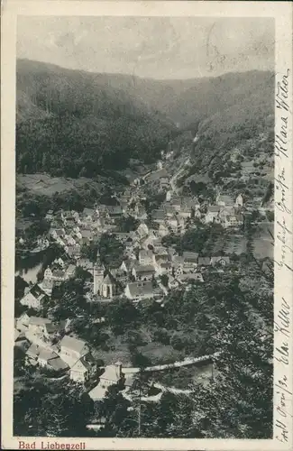 Ansichtskarte Bad Liebenzell Vogelschau-Perspektive, Totalansicht 1916