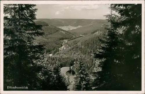 Ansichtskarte Kniebis-Freudenstadt Elbachsee 1952