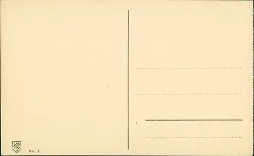 Postcard Danzig Gdańsk/Gduńsk Blick über die Dächer 1911