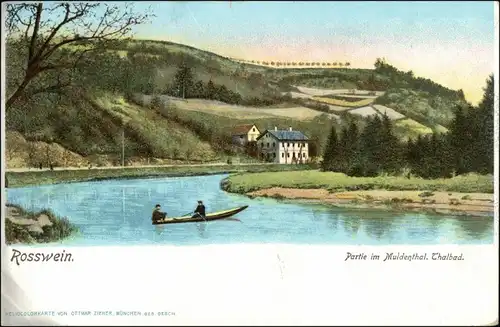 Ansichtskarte Rosswein/ Roßwein Partie im Muldenthal Thalbad 1910