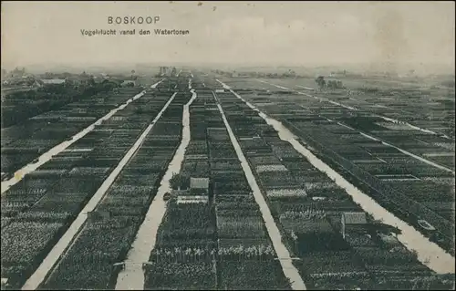 Postkaart Boskoop (Niederlande) Vogelvlucht vanal den Watertoren 1920