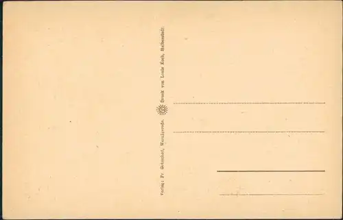 Ansichtskarte Wernigerode Schloss Gesamtansicht, Panoramic View Castle 1920