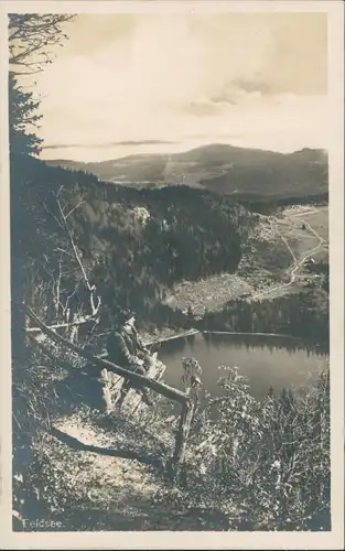 Feldberg (Schwarzwald) Feldberg (1500m) Schwarzwald, Wanderer bei der Rast 1930