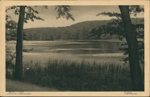 Sielbeck-Eutin Ukleisee, See Ansicht, umliegende Landschaft 1920